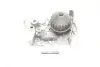 Помпа води Renault Kangoo/Megane/Clio 1.4/1.4i/1.4e 96- VKPC86216