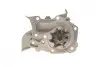 Помпа води Renault Kangoo/Megane/Clio 1.4/1.4i/1.4e 96- SKF VKPC86216 (фото 4)