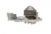 Помпа води Renault Kangoo/Megane/Clio 1.4/1.4i/1.4e 96- SKF VKPC86216 (фото 5)