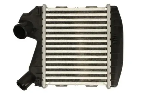 Интеркулер THERMOTEC DAM031TT
