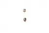 Автолампа C18W 12V 18W SV8.5-8 Pure Light (15.5x41) BOSCH 1987302229 (фото 3)