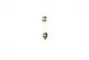 Автолампа C18W 12V 18W SV8.5-8 Pure Light (15.5x41) BOSCH 1987302229 (фото 6)