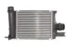 Інтеркулєр THERMOTEC DAR004TT (фото 1)