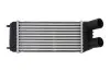 Интеркулер THERMOTEC DAP006TT (фото 1)