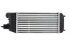Интеркулер THERMOTEC DAP006TT (фото 2)