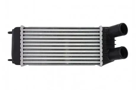 Интеркулер THERMOTEC DAP006TT