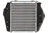 Інтеркулєр THERMOTEC DA3004TT (фото 2)