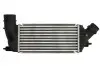Інтеркулєр THERMOTEC DAC011TT (фото 1)