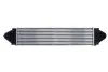 Інтеркулєр THERMOTEC DAI001TT (фото 1)