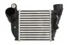 Інтеркулєр THERMOTEC DAA008TT (фото 1)