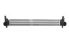 Інтеркулєр THERMOTEC DAA005TT (фото 2)