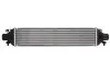 Інтеркулєр THERMOTEC DAD002TT (фото 1)