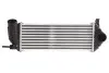 Интеркулер THERMOTEC DAR006TT (фото 1)