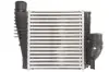 Інтеркулєр THERMOTEC DAP004TT (фото 1)