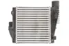 Інтеркулєр THERMOTEC DAP004TT (фото 2)