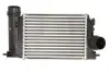 Интеркулер THERMOTEC DA1006TT (фото 1)