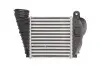 Інтеркулєр THERMOTEC DAA009TT (фото 2)
