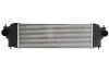 Интеркулер THERMOTEC DA8001TT (фото 1)