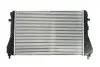 Інтеркулєр THERMOTEC DAW009TT (фото 2)