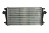 Інтеркулєр THERMOTEC DAX013TT (фото 1)