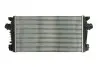 Інтеркулєр THERMOTEC DAX013TT (фото 2)
