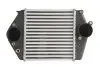 Інтеркулєр THERMOTEC DA3002TT (фото 1)