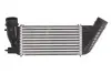 Радіатор охолодження повітря THERMOTEC DAC006TT (фото 1)