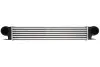 Інтеркулєр THERMOTEC DAB006TT (фото 1)