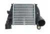 Радіатор інтеркулера Skoda Octavia/VW Bora/Golf IV 1.8T/1.9TDI 97-05 NRF 30935 (фото 1)