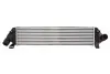Інтеркулєр THERMOTEC DAV004TT (фото 1)