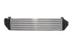Інтеркулєр THERMOTEC DAV004TT (фото 2)