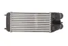 Інтеркулєр THERMOTEC DAP003TT (фото 2)