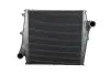 Интеркулер THERMOTEC DAVO001TT (фото 1)