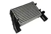 Інтеркулєр THERMOTEC DAW002TT (фото 1)