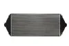 Інтеркулєр THERMOTEC DAP001TT (фото 2)