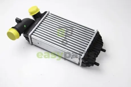 Интеркулер THERMOTEC DAF001TT