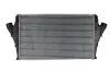 Інтеркулєр THERMOTEC DAX002TT (фото 1)