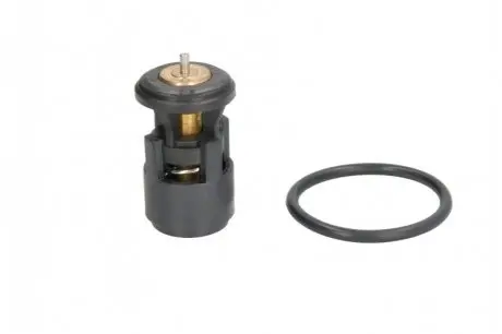 Термостат THERMOTEC D2A005TT