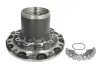 Ступица SKF VKHC5903 (фото 1)