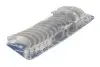 Вкладиші корінні BMW 3 (E90/F30/F80)/5 (F10)/X5 (E70/F15/F85) 08-18 N57 D30 (+0.50) KOLBENSCHMIDT 77953620 (фото 1)