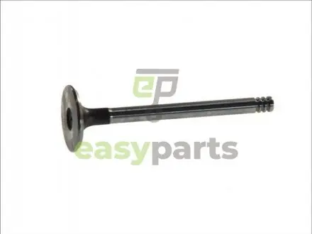 Впускной клапан (34x8x104,8) AUDI 80; VW CADDY I, GOLF I, GOLF II, JETTA I, JETTA II, PASSAT, SANTANA, TRANSPORTER III 1.5D/1.6D/1.7D 08.76-07.92 FRECCIA 3646S