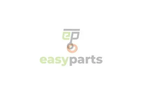Шайба під форсунку VW Caddy/Crafter/T5 2.0 TDI 10- (7/7.7x13x1.5) VAG 059130519