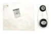 Подушка двигуна (задня/нижня) Renault Megane II 1.5dCi/1.9dCi/2.0i 03-09 (косточка) RENAULT / DACIA 8200777542 (фото 2)