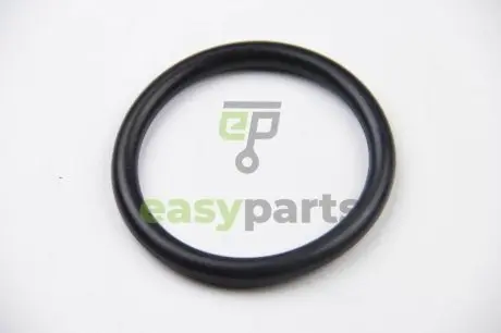 Прокладка колектора впуск Kangoo/Duster/Clio II/Laguna II 1.4-2.0 i 01- ASAM 55799