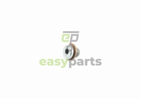 Пробка резьбовая с уплотнительным кольцом VW/Audi/Skoda/Seat VAG N90965401