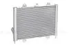 Фото 2 - радіатор інтеркулера (ОНВ) 33027 бізнес (Каммінс) (тип Прамо/TRM) LUZAR LRIC 03029 Радіатор інтеркулера (ОНВ) 33027 бізнес (Каммінс) (тип Прамо/TRM) LUZAR LRIC 03029 (фото 2)