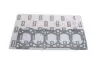 Прокладка ГБЦ VW T4 2.4D, O81,00mm, 1,61mm, (3 метки) Vika 11031391401 (фото 1)