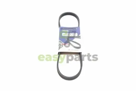 Ремінь генератора Renault Kangoo 1.2 97- HUTCHINSON 730K4
