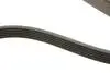 Ремінь генератора Infiniti FX/M45/Lexus GS/Mitsubishi Outlander 1.8-4.5 93- HUTCHINSON 1940K6 (фото 3)