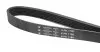 Ремінь генератора Fiat Doblo 1.3D Multijet/Ducato 2.0JTD 01-/VW Caddy 1.4/1.6 96- (6PK1180) HUTCHINSON 1180K6 (фото 1)